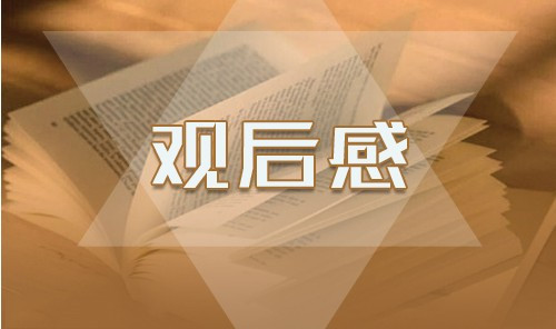 收看北京大学援鄂医疗队事迹观后感800字5篇